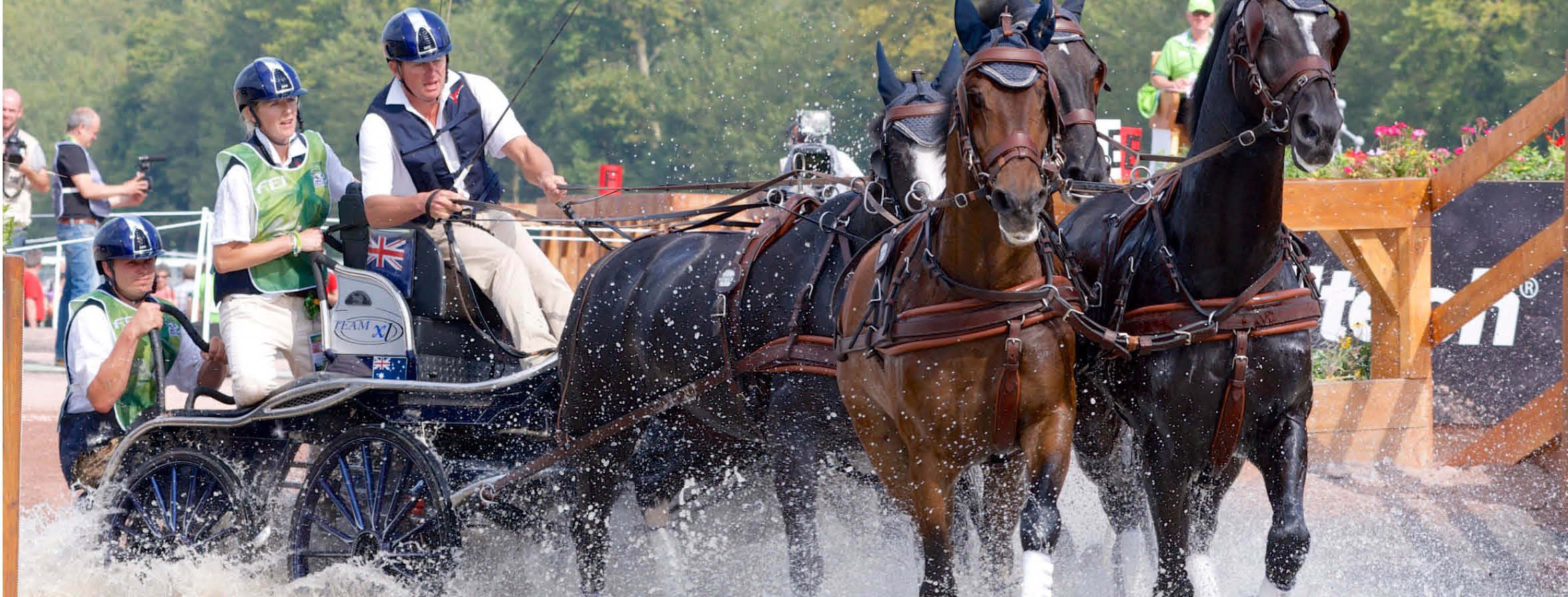 2016 Westbury Show incl Carriage Driving Equestrian Tasmania